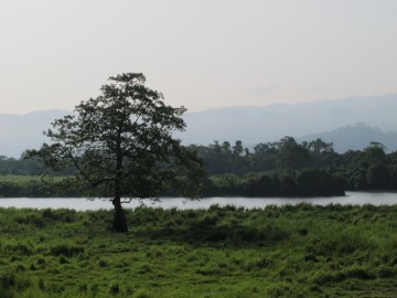 Peaceful Kaziranga. Photo Sian Powell.